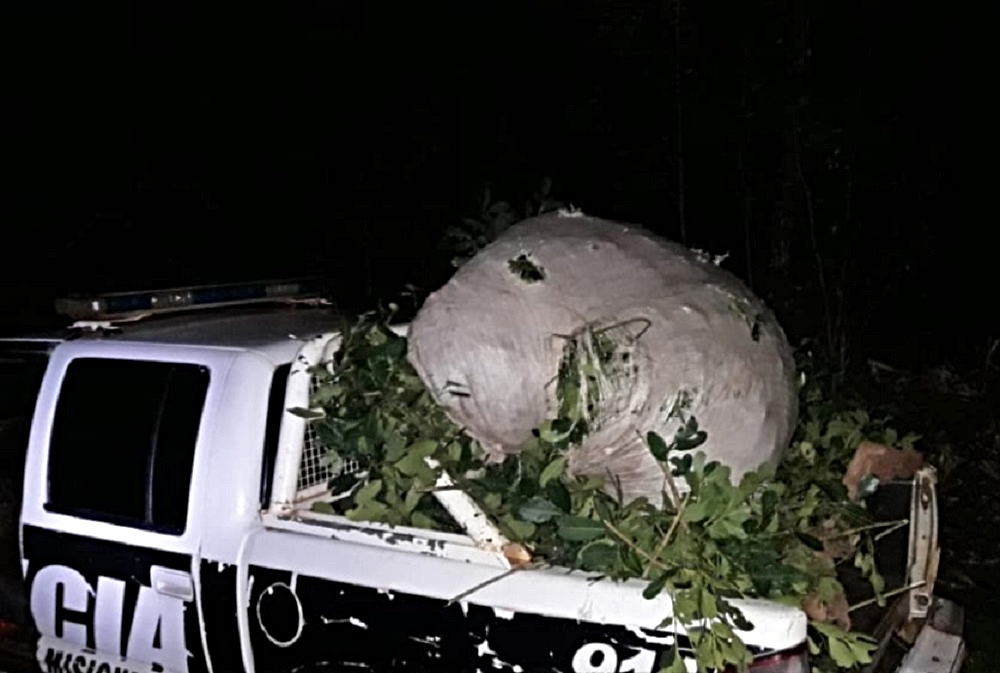 Recuperan yerba mate robada de un Parque Provincial