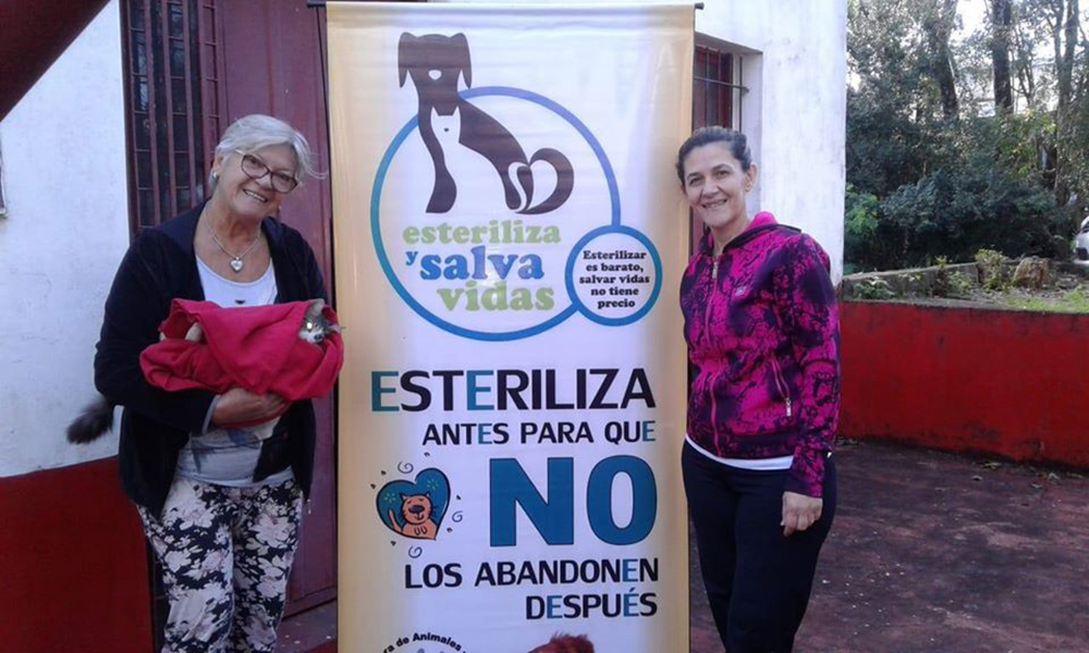 Mediante la “iniciativa popular” piden una Dirección de Zoonosis