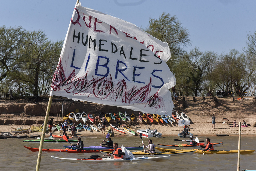 Greenpeace - Ley de Humedales