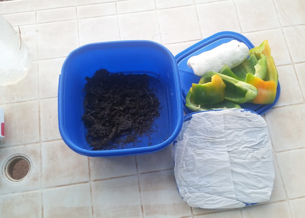 Penal de Oberá - Marihuana