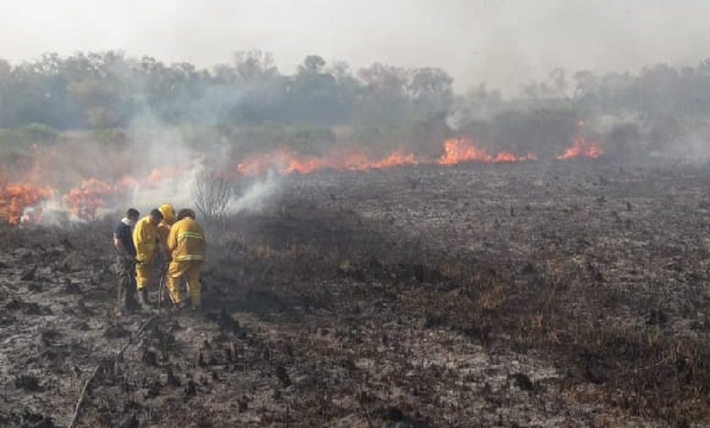 Al menos 500 hectáreas arrasadas por el fuego en Campo San Juan