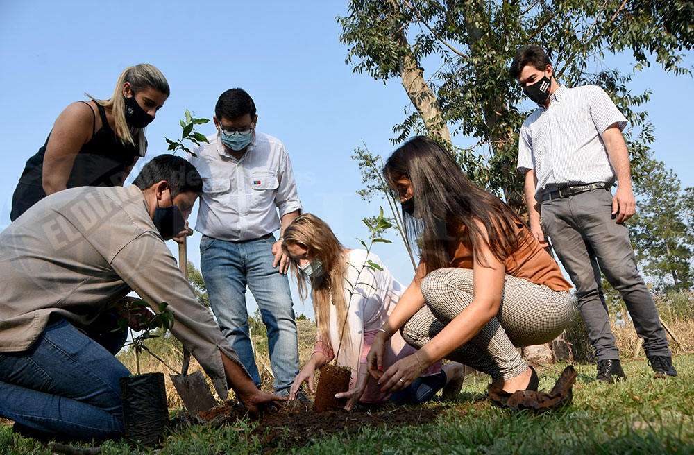Piden redoblar el cuidado de los árboles y el medioambiente