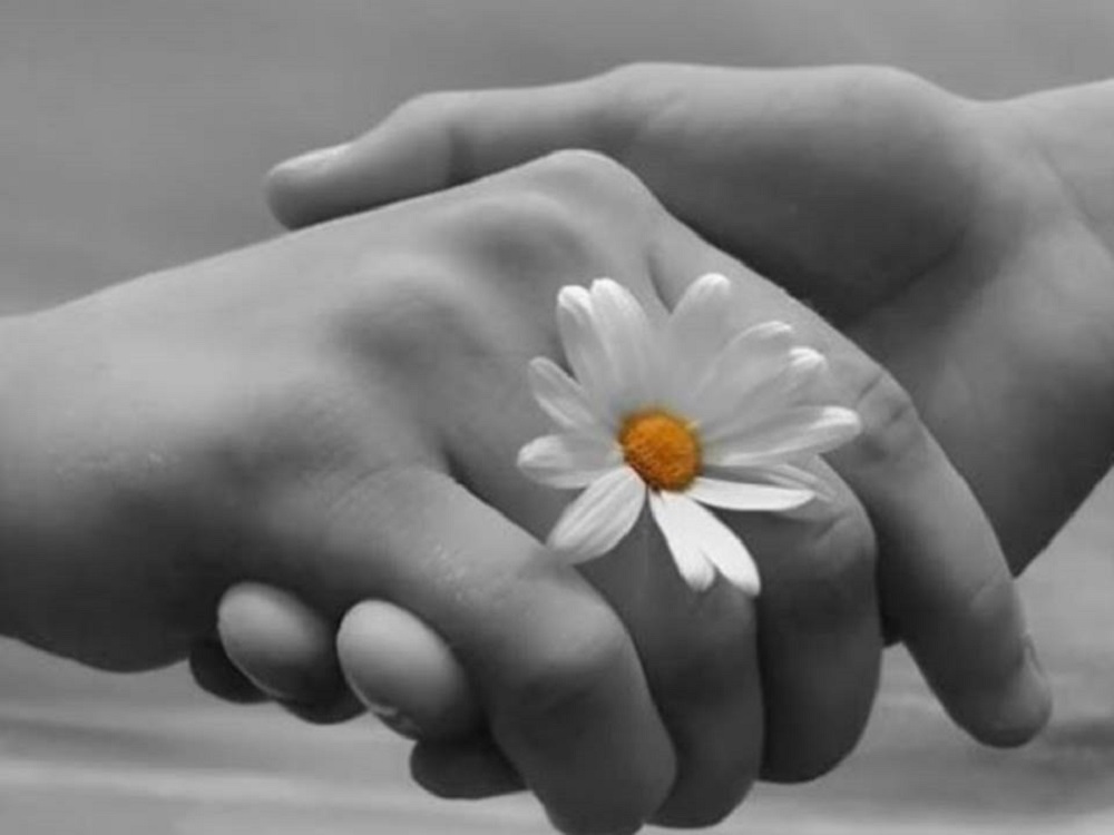 Nuestras acciones nos definen