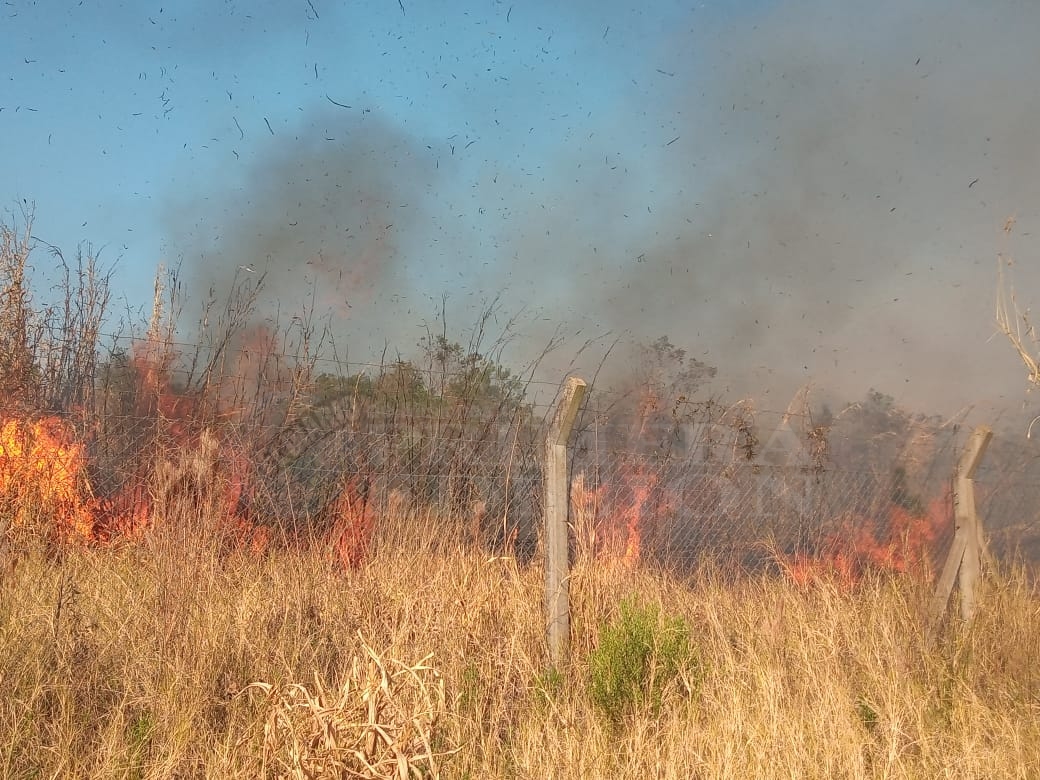 Se incendian malezas en el predio del Servicio Penitenciario