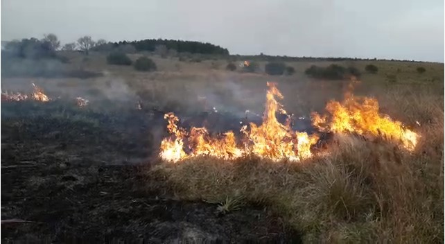 Preocupación por reiterados incendios en Apóstoles