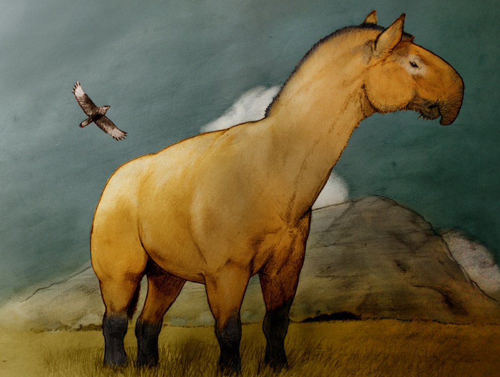 Fauna extinta de Sudamérica jugó un papel importante en el origen de varias especies