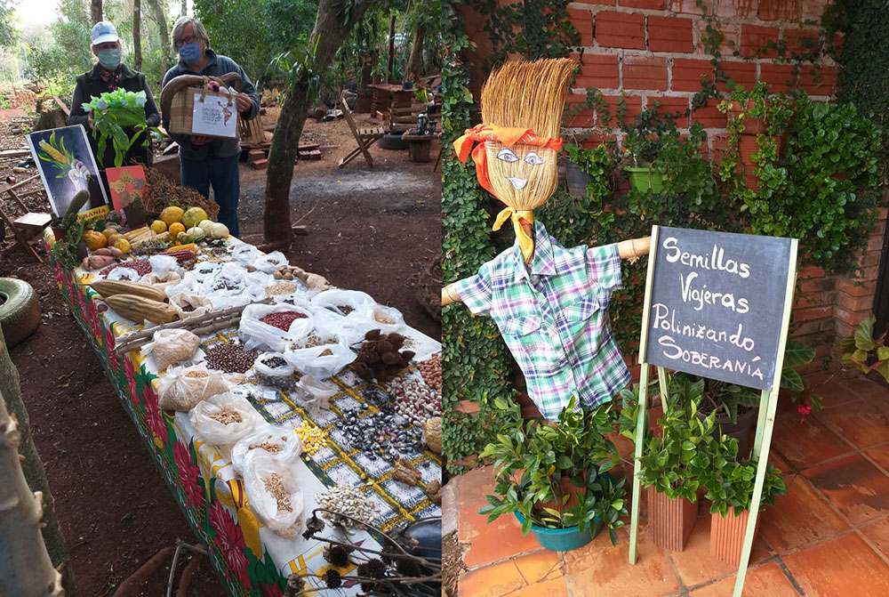 Familias campesinas se ingeniaron para intercambiar semillas pese a la cuarentena