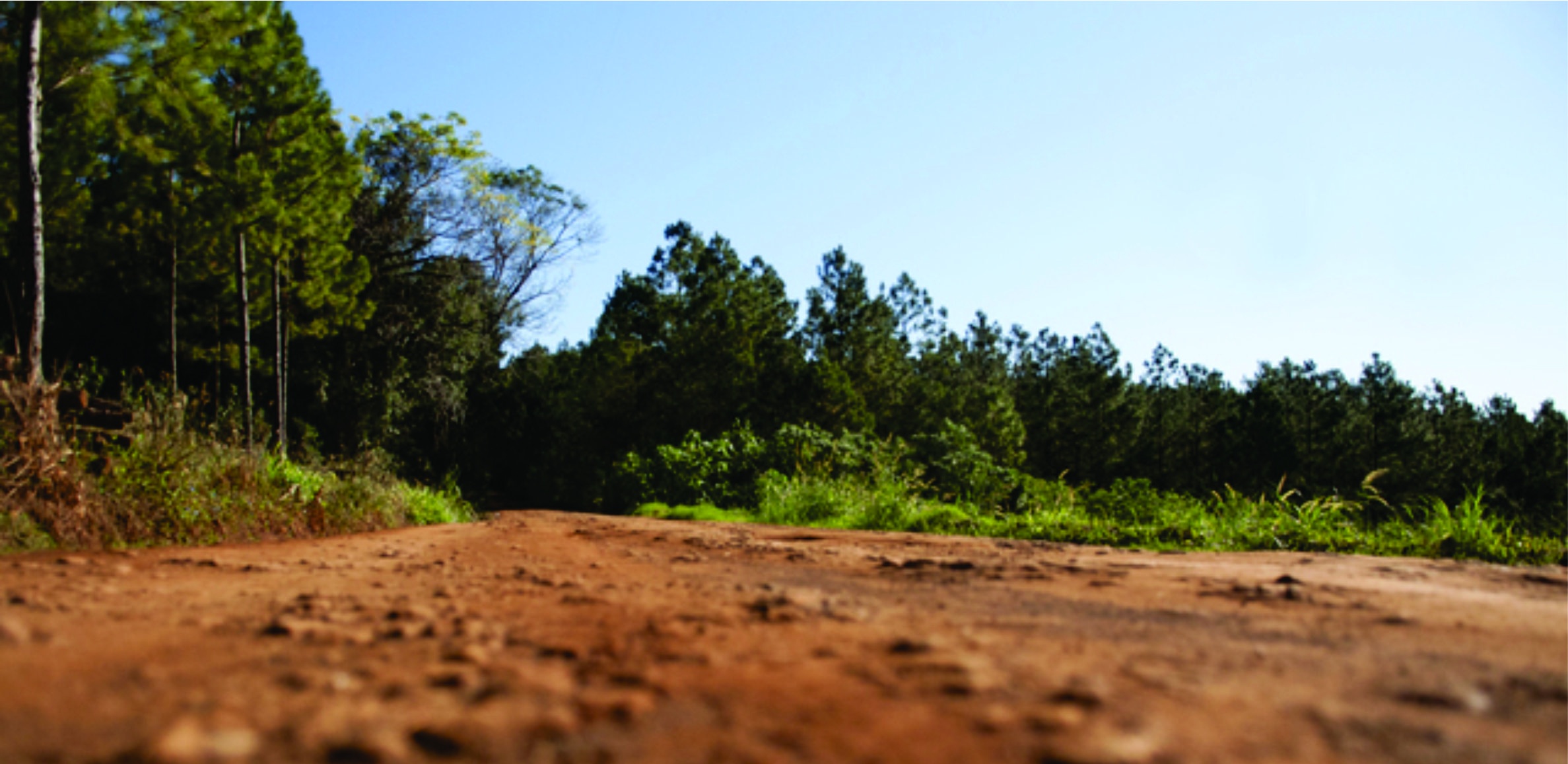 Reiteran prohibición de venta de tierras fiscales