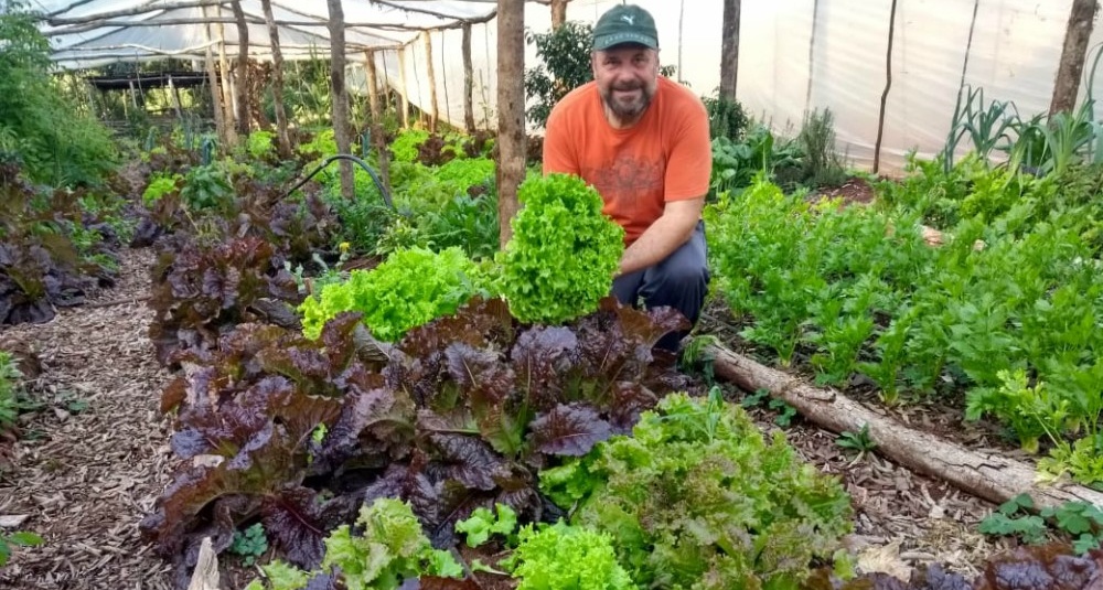 Kale, directo de República Checa a la chacra misionera