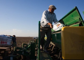 Referentes del campo rechazaron el nuevo cepo sobre el dólar