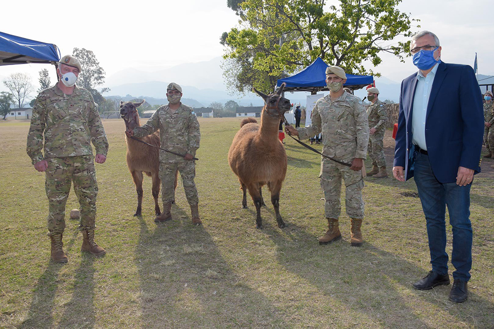 Llamas Ejercito Argentino en Jujuy