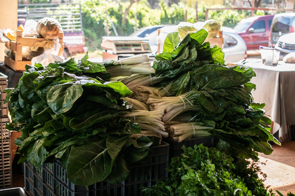 Ferias Francas una vez más listas para este miércoles y jueves