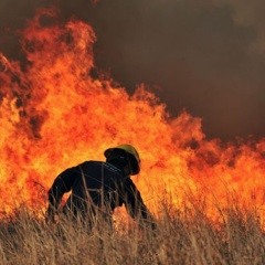 Ley de Ordenamiento Ambiental - Incendios forestales