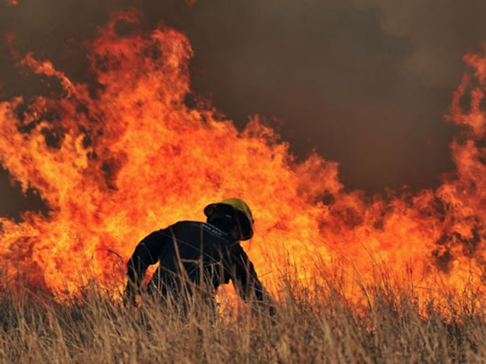 Ley de Ordenamiento Ambiental - Incendios forestales