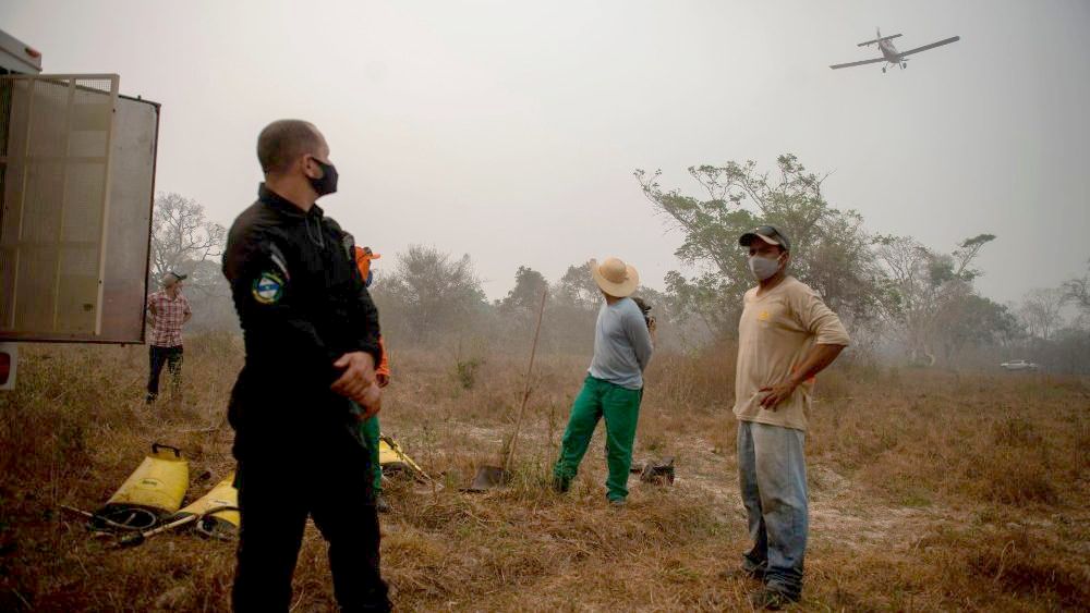 Presos ayudan a combatir los incendios en el Pantanal brasileño
