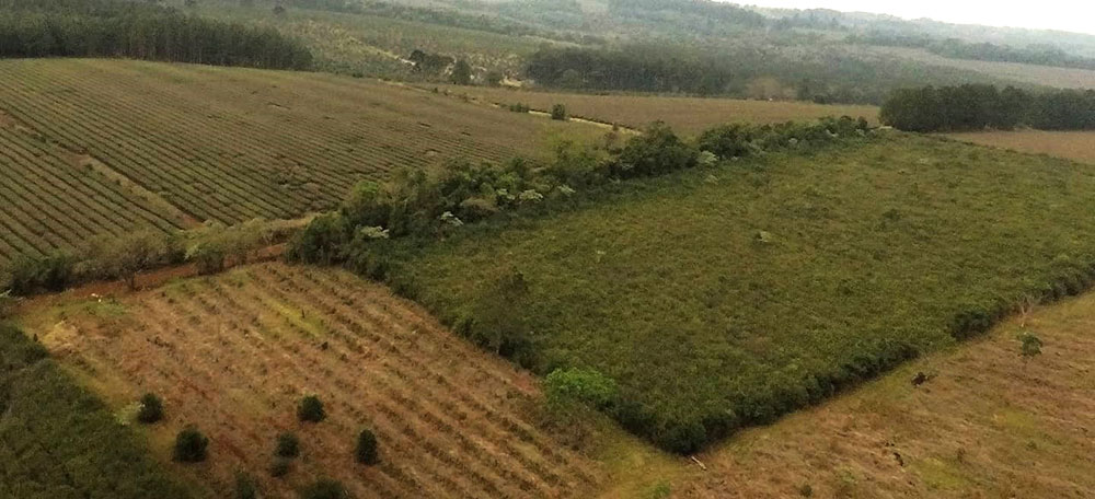 Dilema en San Vicente entre el Parque Industrial o más viviendas