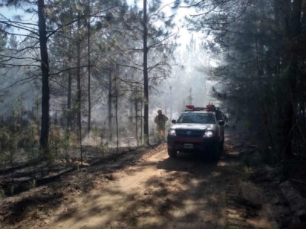 Recorren zonas de Villa Olivari afectadas por los incendios