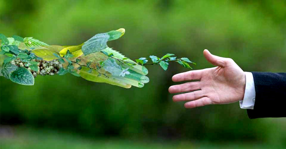 Celebran ratificación del Acuerdo Regional de Escazú