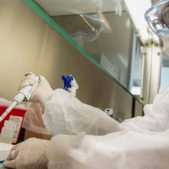 Iguazú - coronavirus