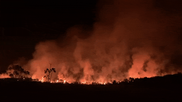 Otra reserva natural fue víctima del fuego