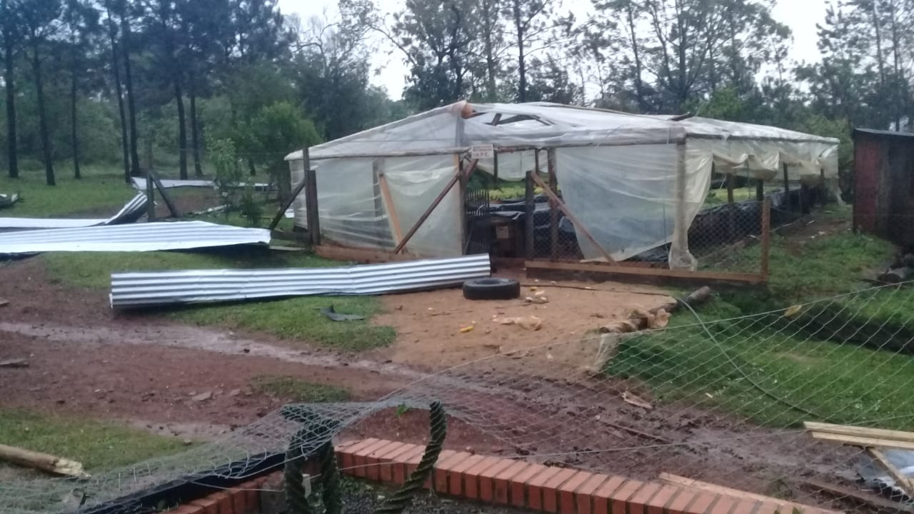 Temporal ocasionó daños en varias localidades