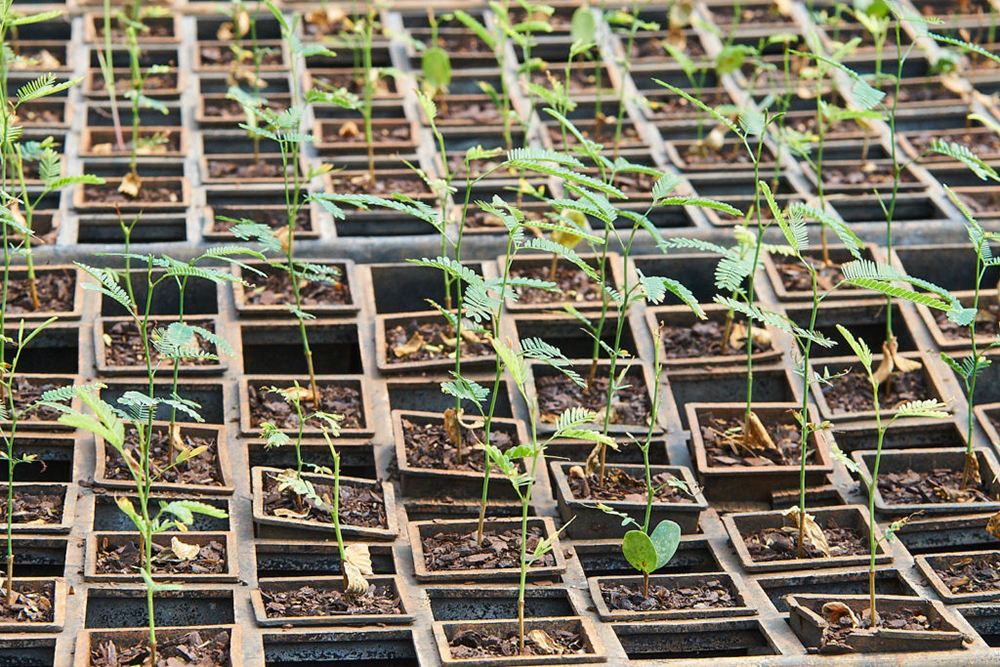 Biofábrica Misiones
