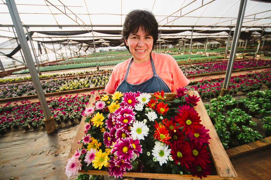 La floricultura, una actividad que está en crecimiento en Misiones