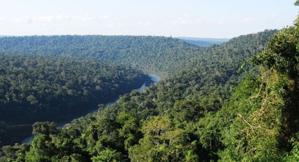 Yabotí - El Soberbio