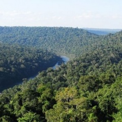 Yabotí - El Soberbio