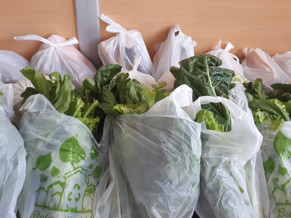 bolsones de verduras