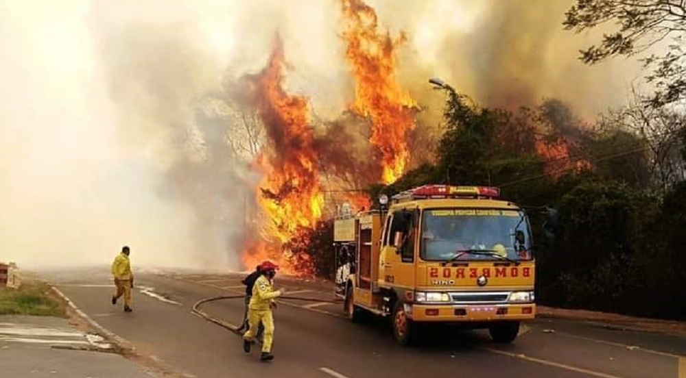 Las llamas invadieron el predio del Jardín Botánico de Asunción