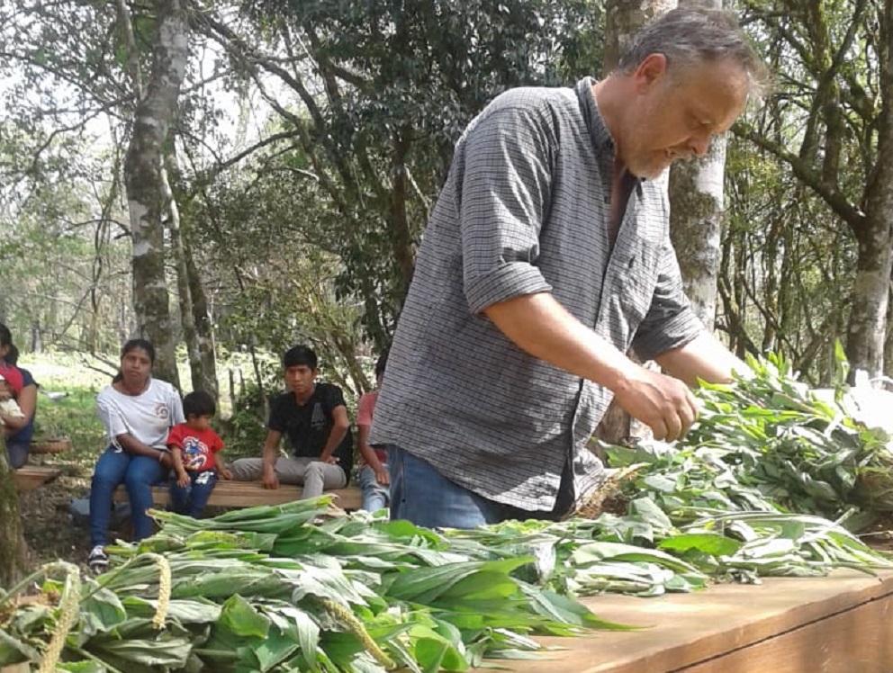 En busca de plantas comestibles “no convencionales”