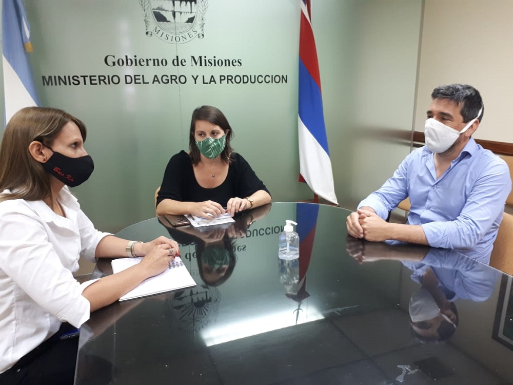 Ratifican la vigencia de protocolo sanitario para el desarrollo de la zafra tealera