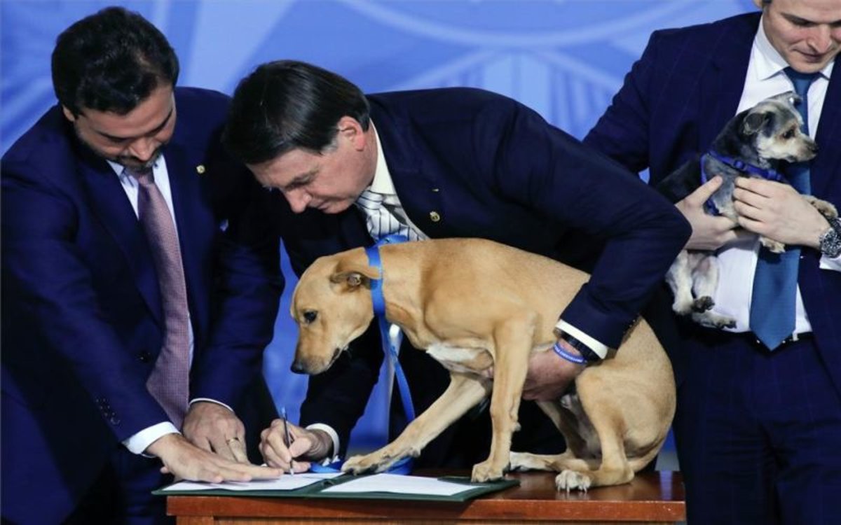 Bolsonaro promulgó ley contra el maltrato animal e hizo “firmar” a un perro