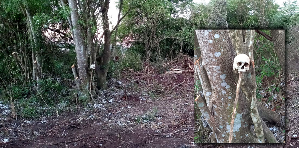 Macabro hallazgo en vísperas de Halloween