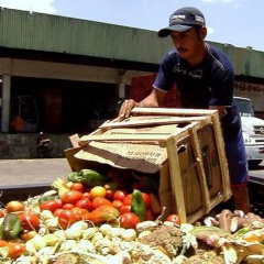Desperdicio de alimentos