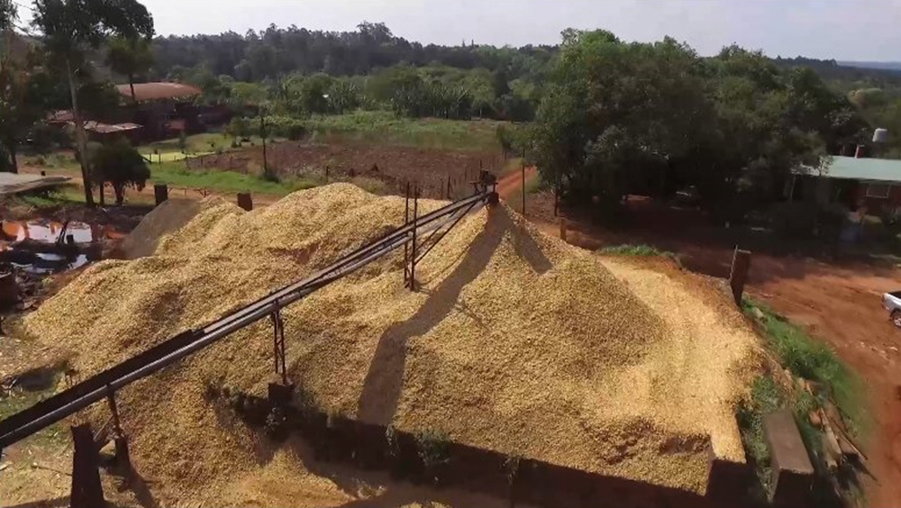 conflicto por el nuevo precio del chip y el raleo