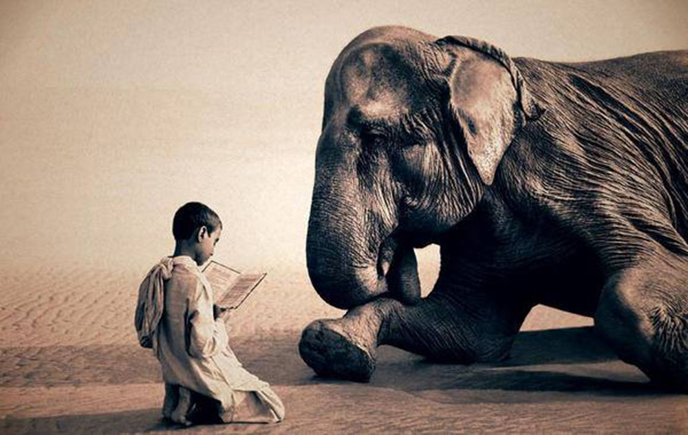 Integrar para poder sanar