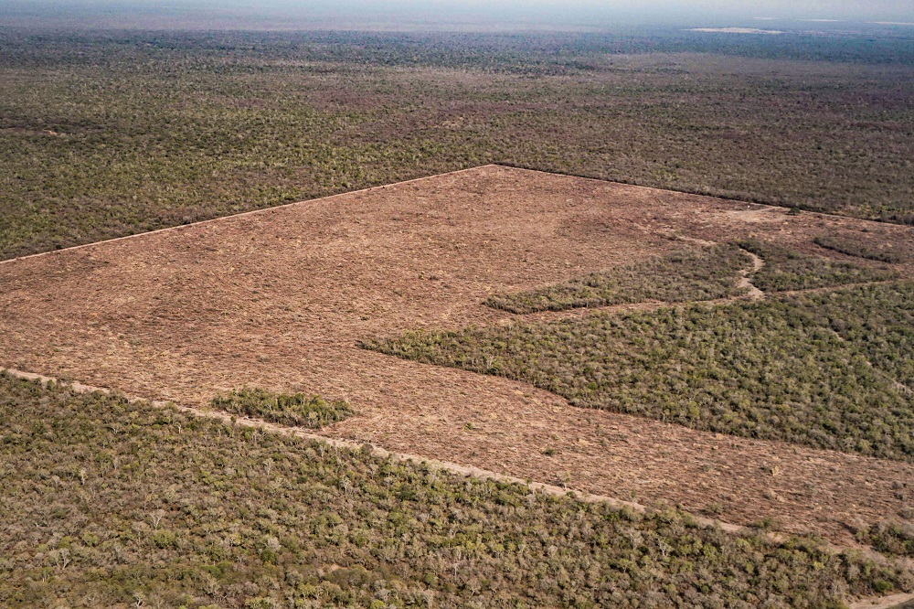 El monitoreo de deforestación en el norte de Argentina que realiza Greenpeace reveló que, a pesar de las restricciones impuestas por la pandemia de COVID-19, entre el 15 de marzo y el 30 de septiembre de este año se desmontaron 42.565 hectáreas de bosques, una superficie similar a la de dos veces la ciudad de Buenos Aires. La organización ecologista reclamó que se prohíban y penalicen los desmontes e incendios.
