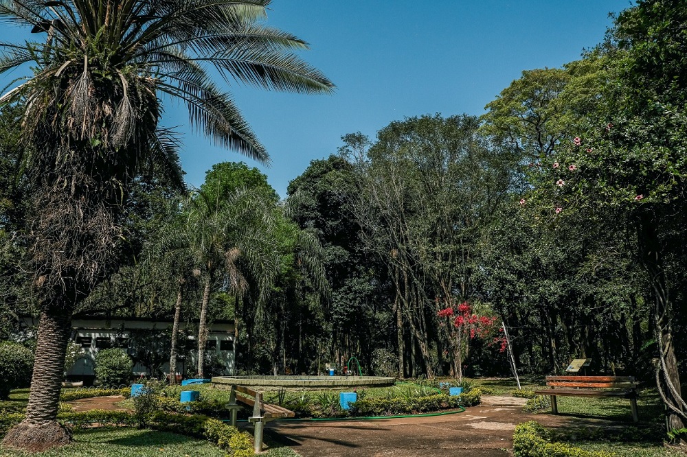 Posadas: buscan recuperar las funciones de los espacios verdes