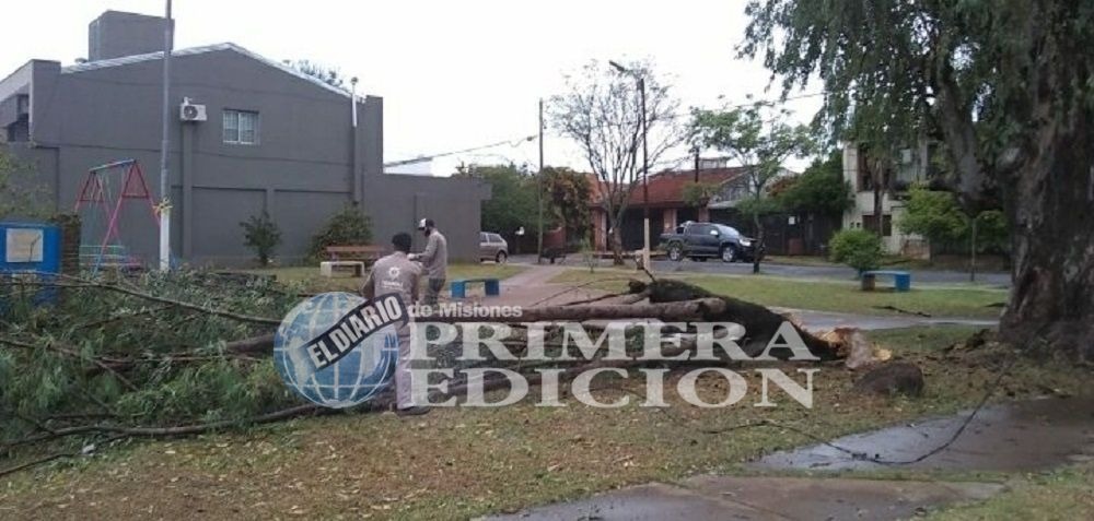 Tras el temporal desplegaron relevamiento y asistencia en las zonas más afectadas