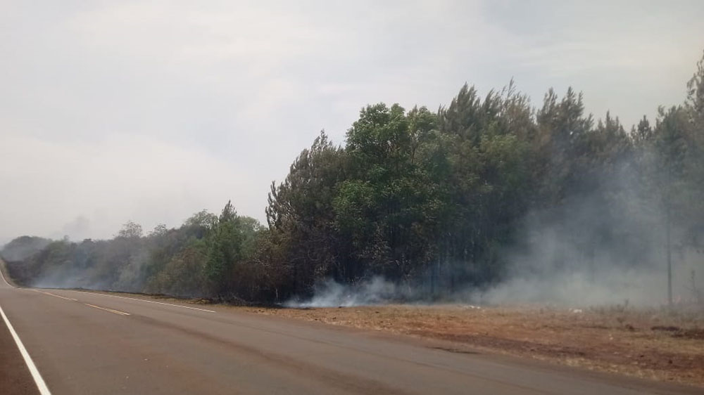 Nuevo incendio en zona rural de General Alvear