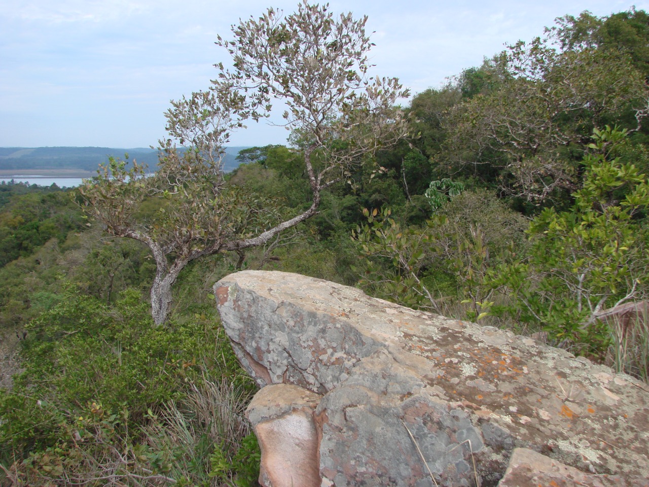 Un proyecto para revalorizar toda la región del Teyú Cuaré