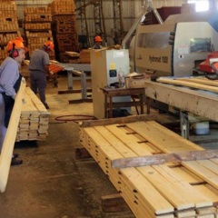 Madera - forestañles industriales