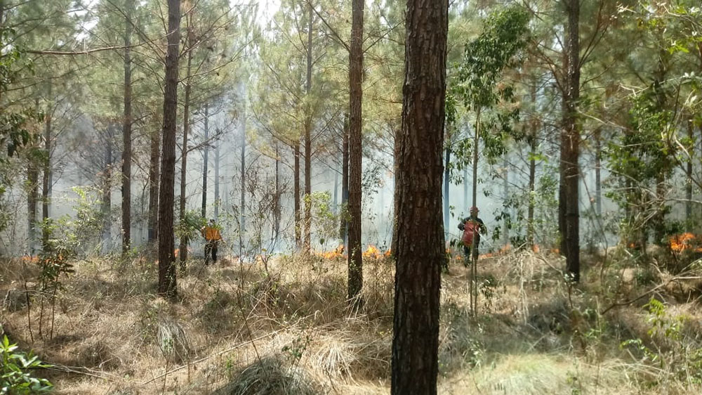 Nuevo incendio en zona rural de General Alvear