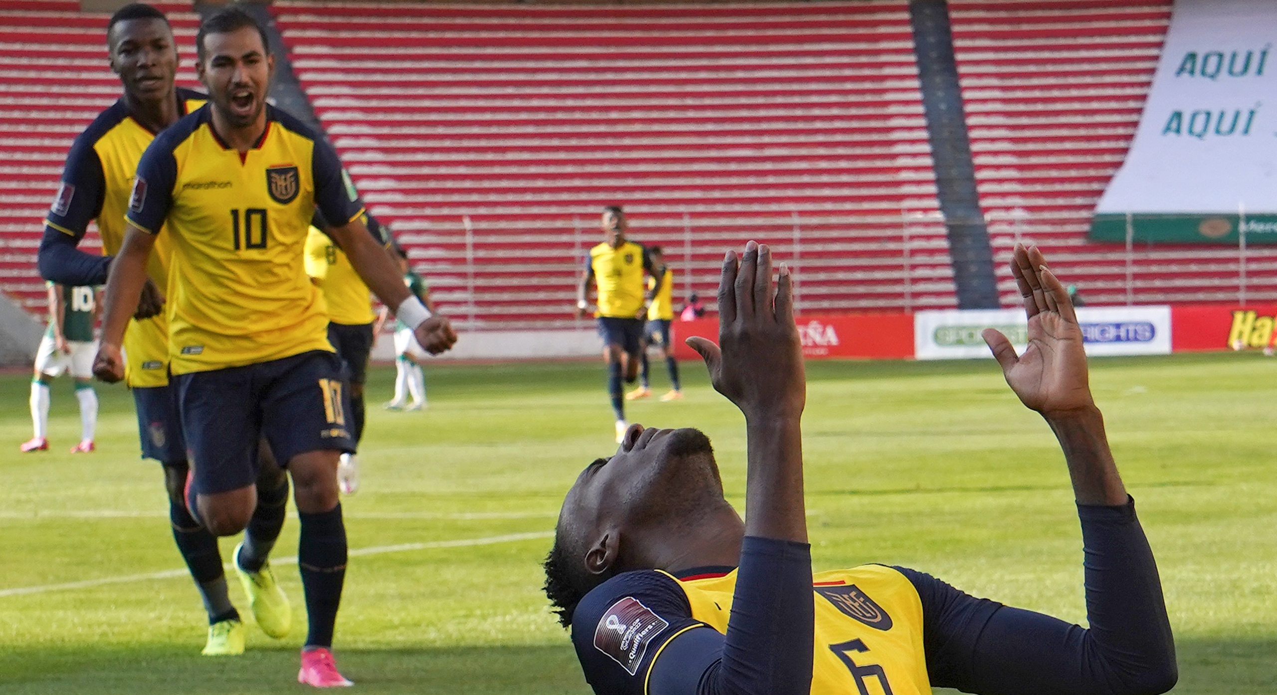 zzzznacd2NOTICIAS ARGENTINAS BAIRES, NOVIEMBRE 12: La Selección de Ecuador, dirigida por el entrenador argentino Gustavo Alfaro, alcanzó hoy un importante triunfo ante Bolivia por 3 a 2 en el estadio Hernando Siles de la ciudad de La Paz, en un encuentro correspondiente a la tercera fecha de las Eliminatorias sudamericanas para el Mundial de Qatar 2022. Foto NA: Libertadoreszzzz