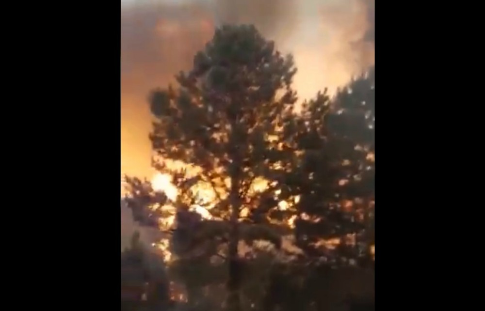 Importante incendio forestal afecta a Virasoro