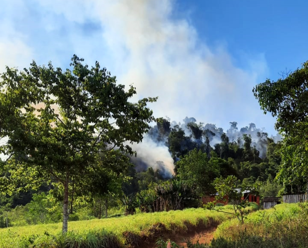 Sin avión hidrante, en Yabotí más de 90 hombres luchan contra el fuego