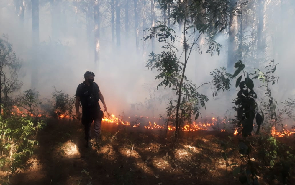 Se reavivó el fuego en el Yabebirí y se registró un foco en el Teyú Cuaré