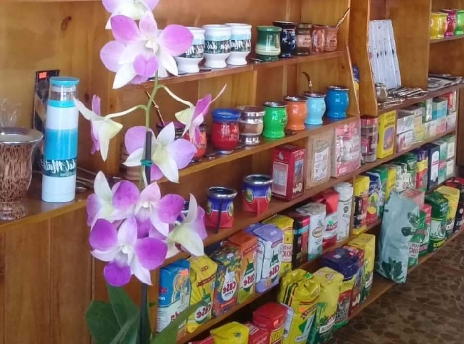 Museo del Mate: mostrar cómo trabajaban los colonos del Alto Uruguay